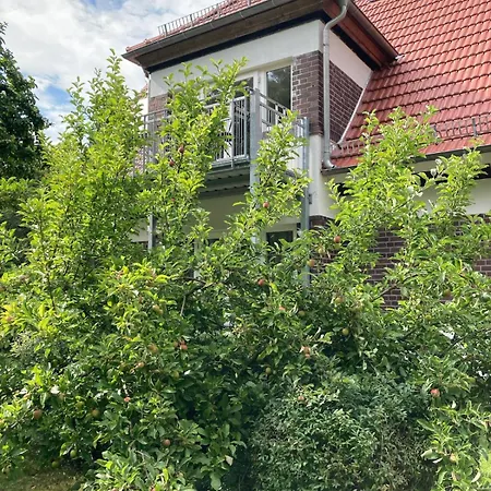 Forsthaus 1 6 Pers Kamin & Waldluft