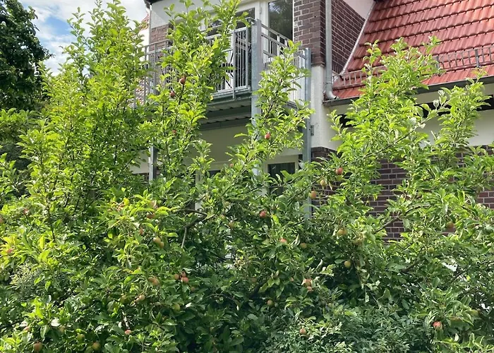 Forsthaus 1 6 Pax Kamin & Waldluft