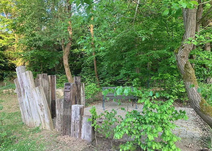 Apartment Forsthaus 1 6 Pax Kamin&waldluft Thale